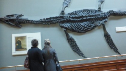 Ictiosaurio Fósil 2