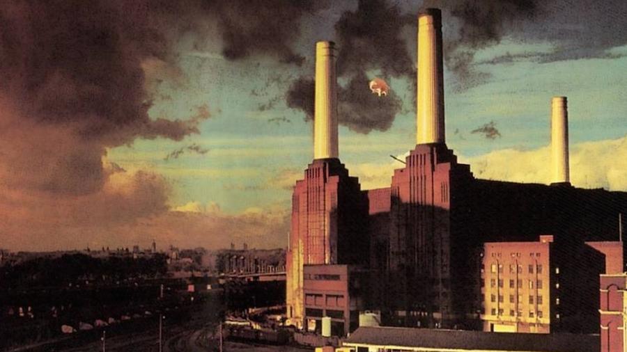 La historia de Algie el mítico cerdo de Pink Floyd