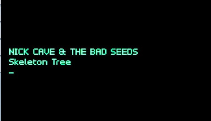 Text nick. Nick Cave and the Bad Seeds Skeleton. Bad Seeds. Ник Кейв альбомы. Push the Sky away Nick Cave and the Bad Seeds.