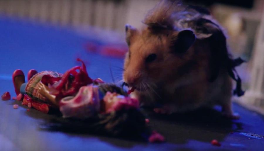 Tiny Hamster is a Zombie!