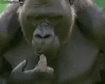 Gorila pensando - GIF