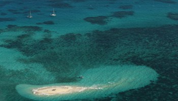 La Gran Barrera de Coral en Australia aún no está muerta, pero sí muy enferma