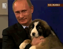 Putin y un cachorrito - GIF