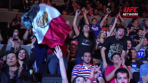 Aficionados mexicanos de UFC