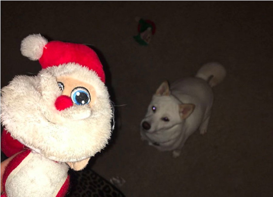 Kya y su juguete de Santa
