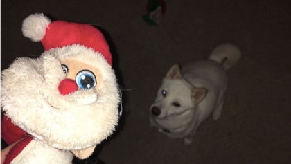 Kya y su juguete de Santa