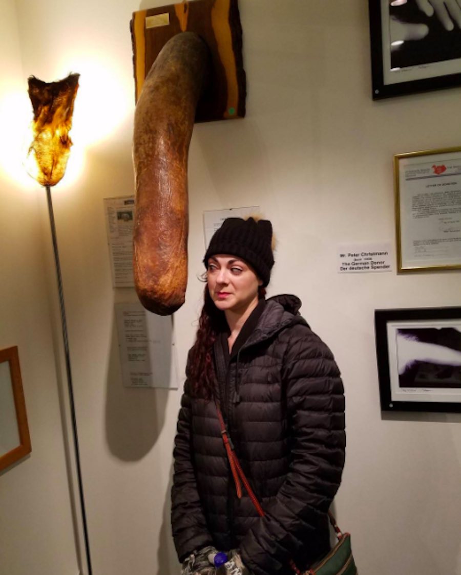Un museo en Islandia exhibe penes