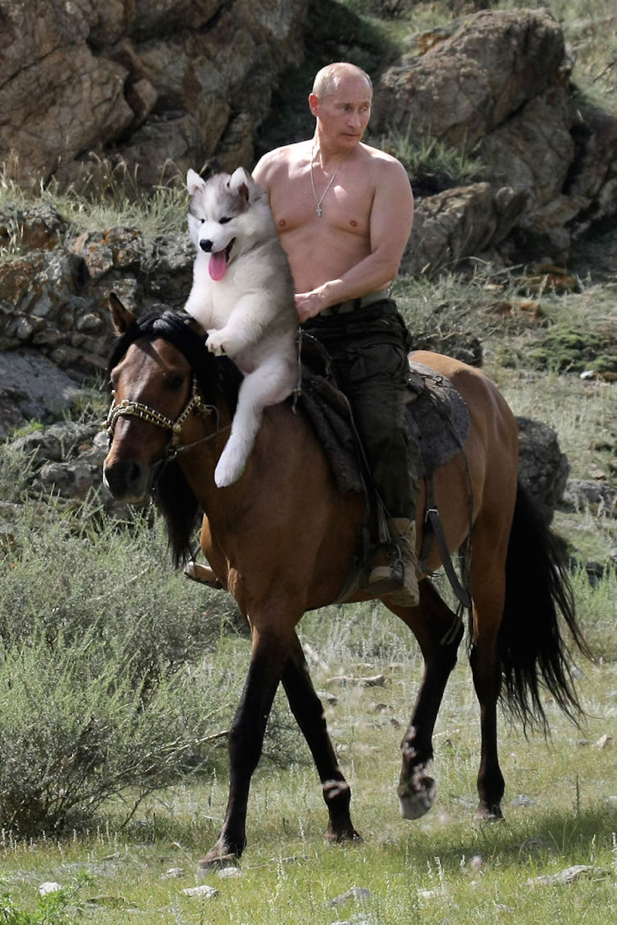 Perrito y Vladimir Putin