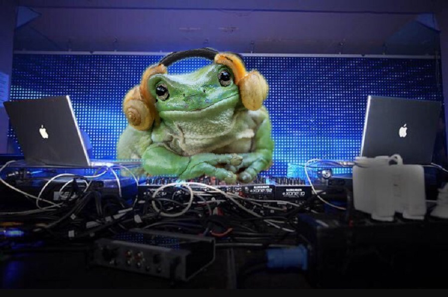 Rana Leia DJ
