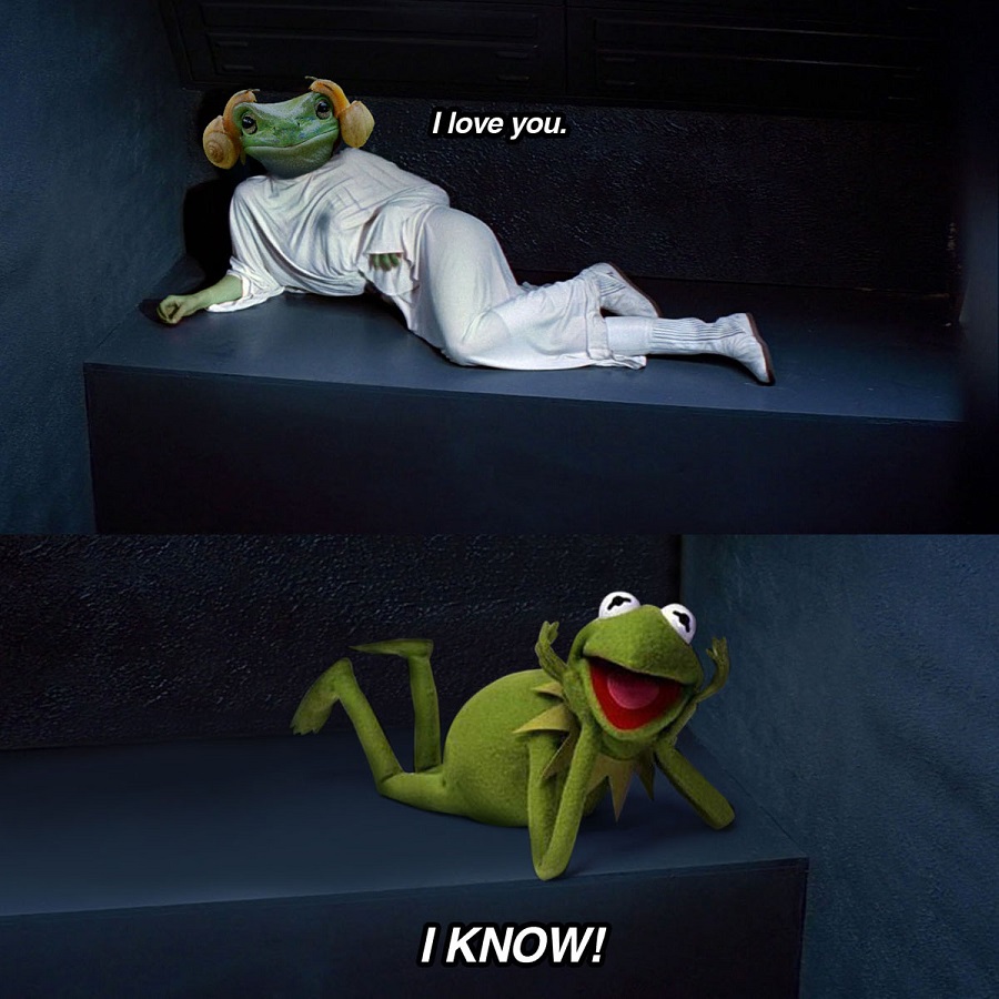 Rana Leia y Kermit