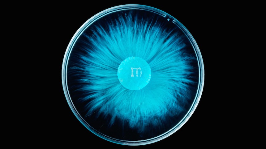 M&M Disuelto en agua