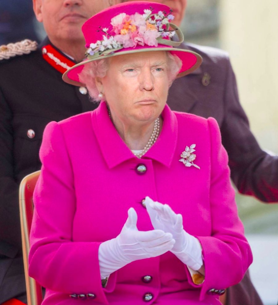 Reina Donald Trump en vestido rosa