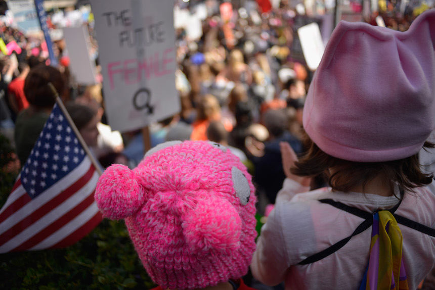 Pussy Hat Womens March