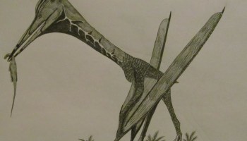 El poderoso Hatzegopteryx