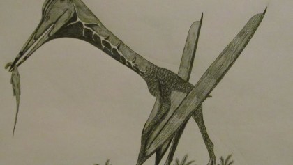 El poderoso Hatzegopteryx