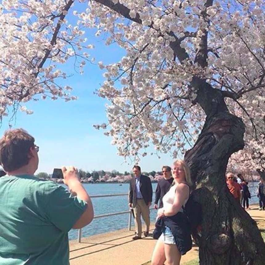 Novios de Instagram - Flores de cerezo