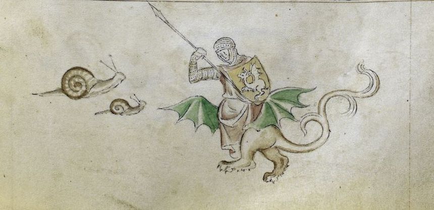 Caballero dragón vs caracol