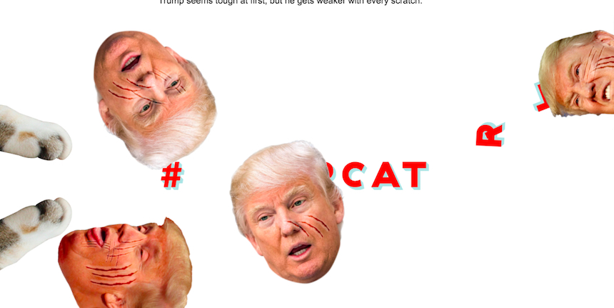 Donald Trump - KittenFeed