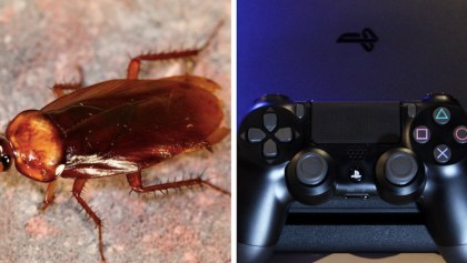 Cucarachas en la PlayStation 4