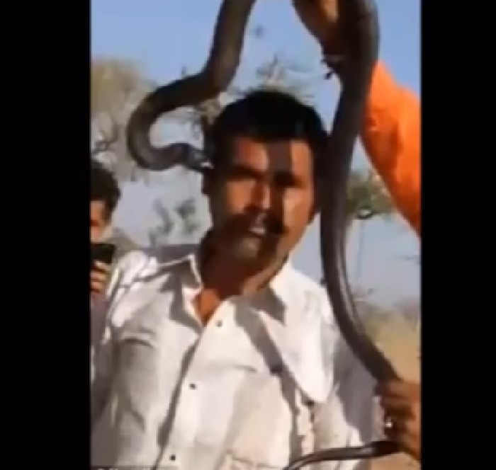 Momento en que turista posa junto a cobra, antes que éste lo muerda