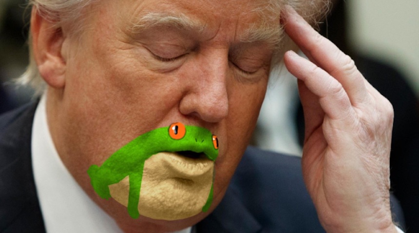 Donald Trump tiene cara de sapo