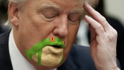 Donald Trump tiene cara de sapo