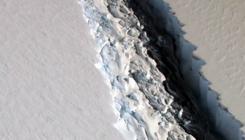 Iceberg A68, del tamaño de cuatro veces la CDMX