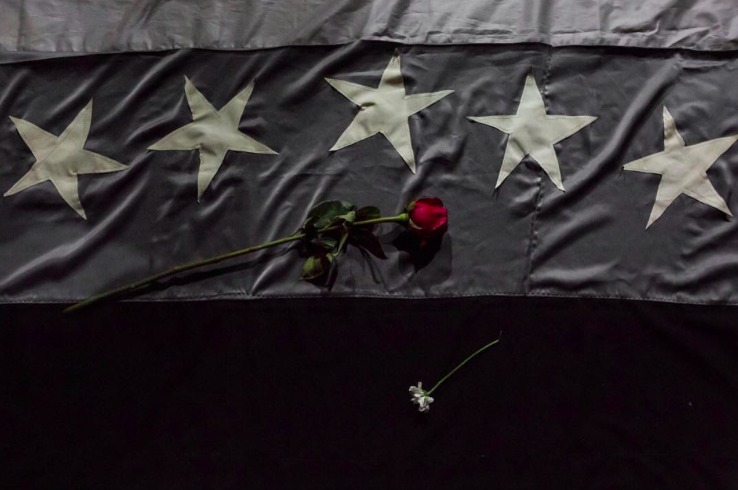 Bandera de Venezuela color negro con un rosa
