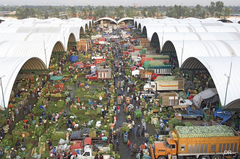 Dark Markets Mexico