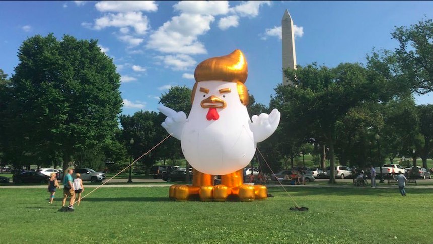 La gallina con el peinado de Trump