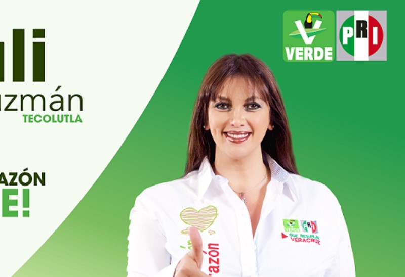 Mayuli del Carmen Ortega Guzmán