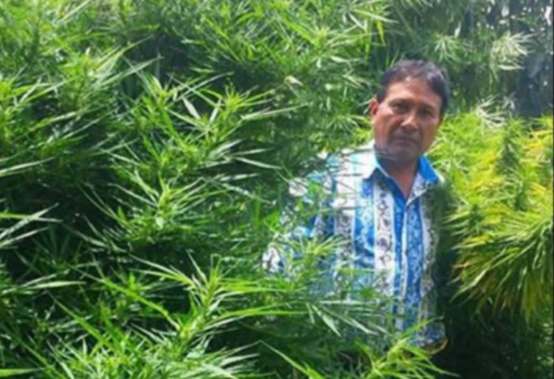 Regidor de Tochimilco, Rufino Pérez, en plantío de marihuana