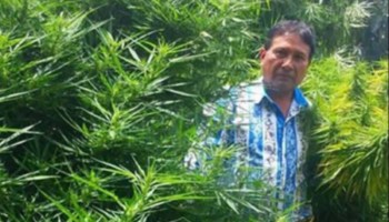 Regidor de Tochimilco, Rufino Pérez, en plantío de marihuana