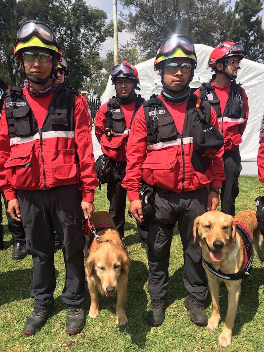 Brigadistas de Ecuador ayudan tras sismo en México