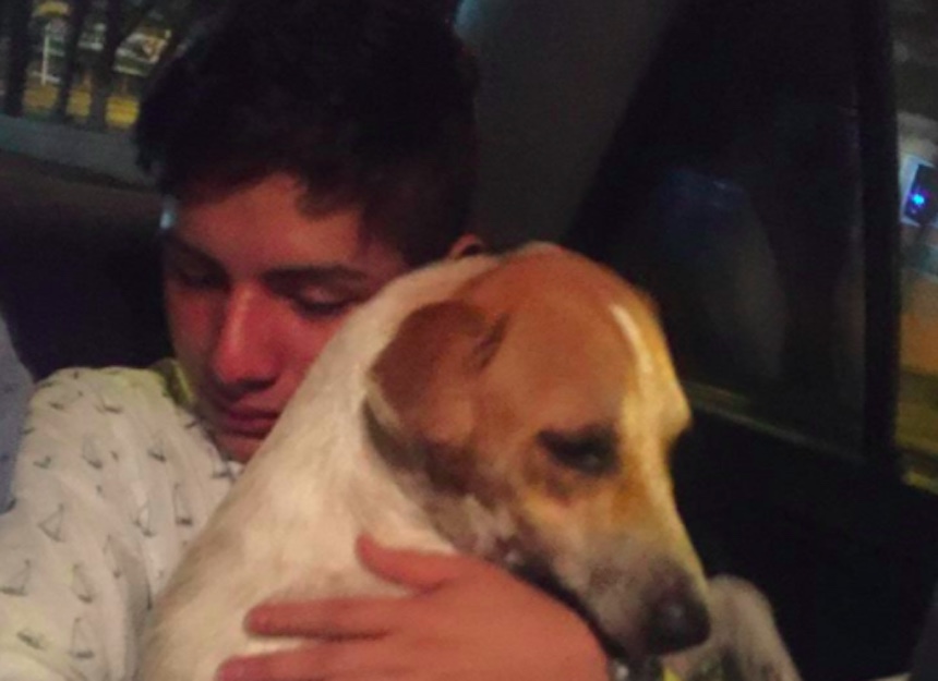 El joven en Veracruz que adoptó un perrito al salir de un antro