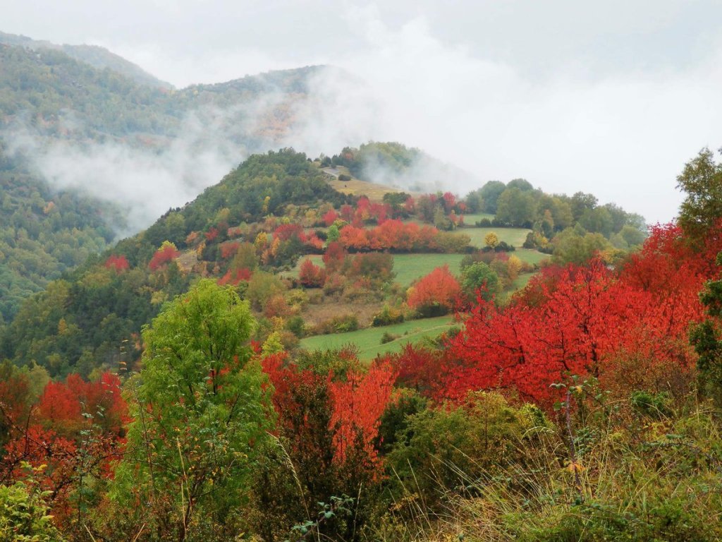 otoño en Huesca