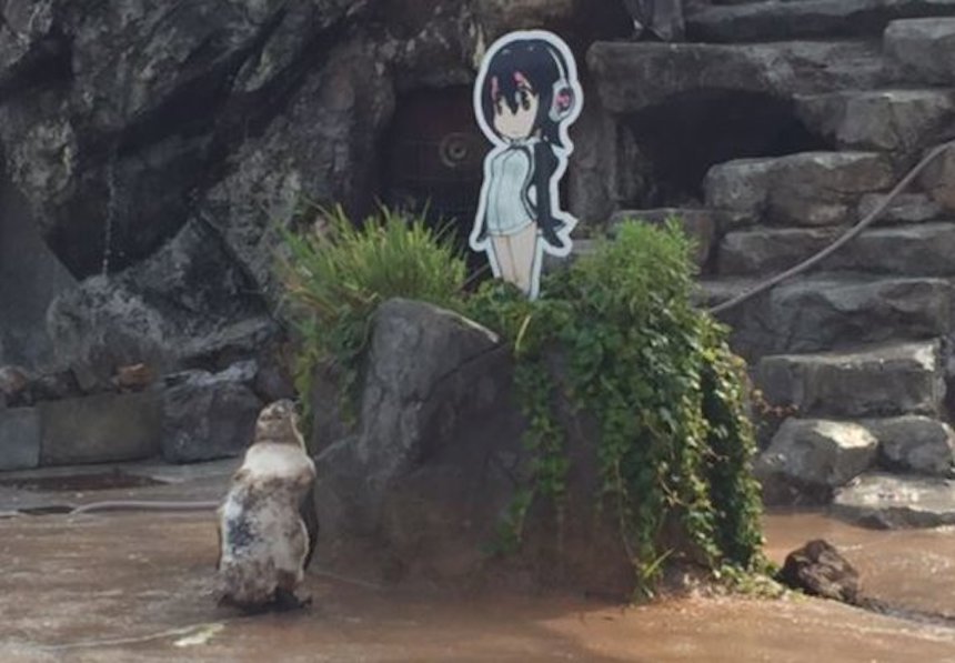 Japón - Un pingüino y su novia de cartón