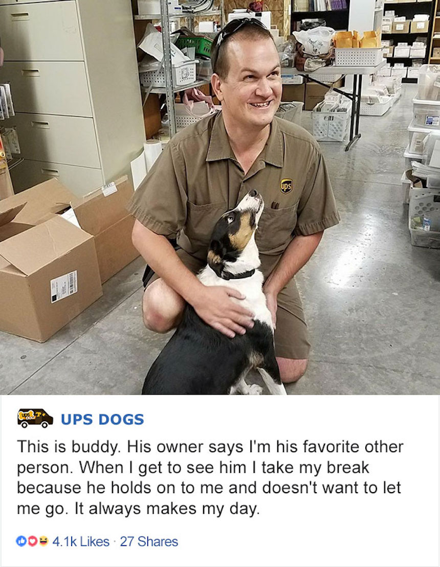 Empleados de UPS y perritos - Amistad