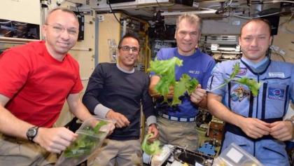 Astronautas que cultivaron lechuga en el espacio