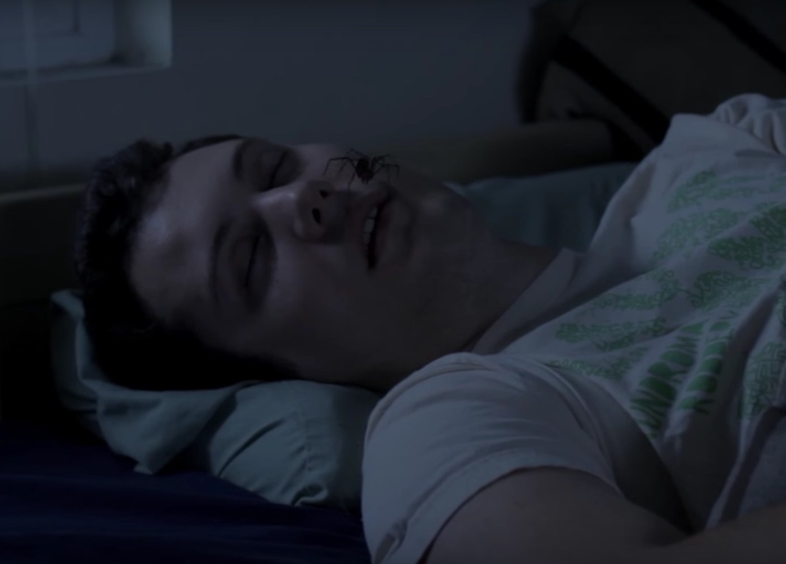 Comer arañas mientras duermes