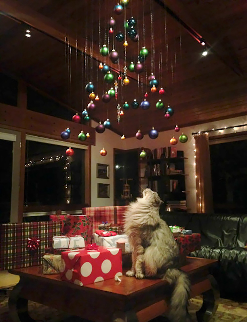 Protegiendo árboles de Navidad - Esferas en el techo