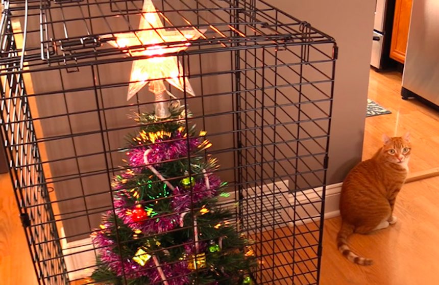 Jaula para árboles de Navidad