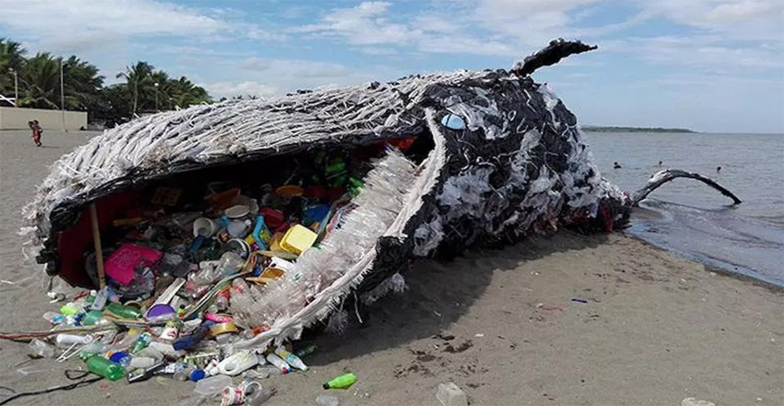 La verdadera historia detrás de la ballena muerta llena de plástico