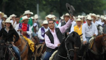 Candidato independiente, Jaime Rodríguez Calderón, El Bronco