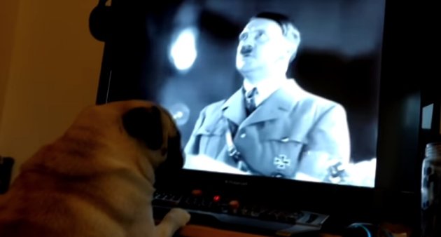 Acusan a comediante por enseñar a su perro saludo nazi