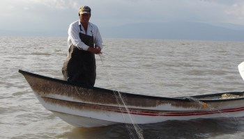 Pescador mexicano