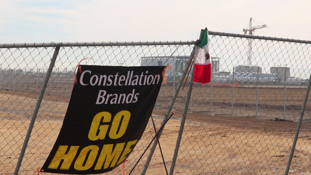 Constellation Brands protestas Baja California