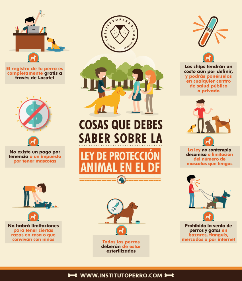 Ley de Protección Animal en el DF