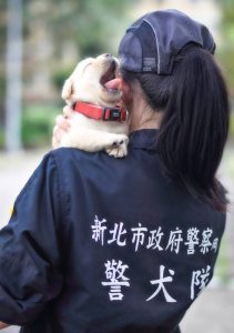 La policía de Taiwán recluta cachorritos para su unidad antibombas
