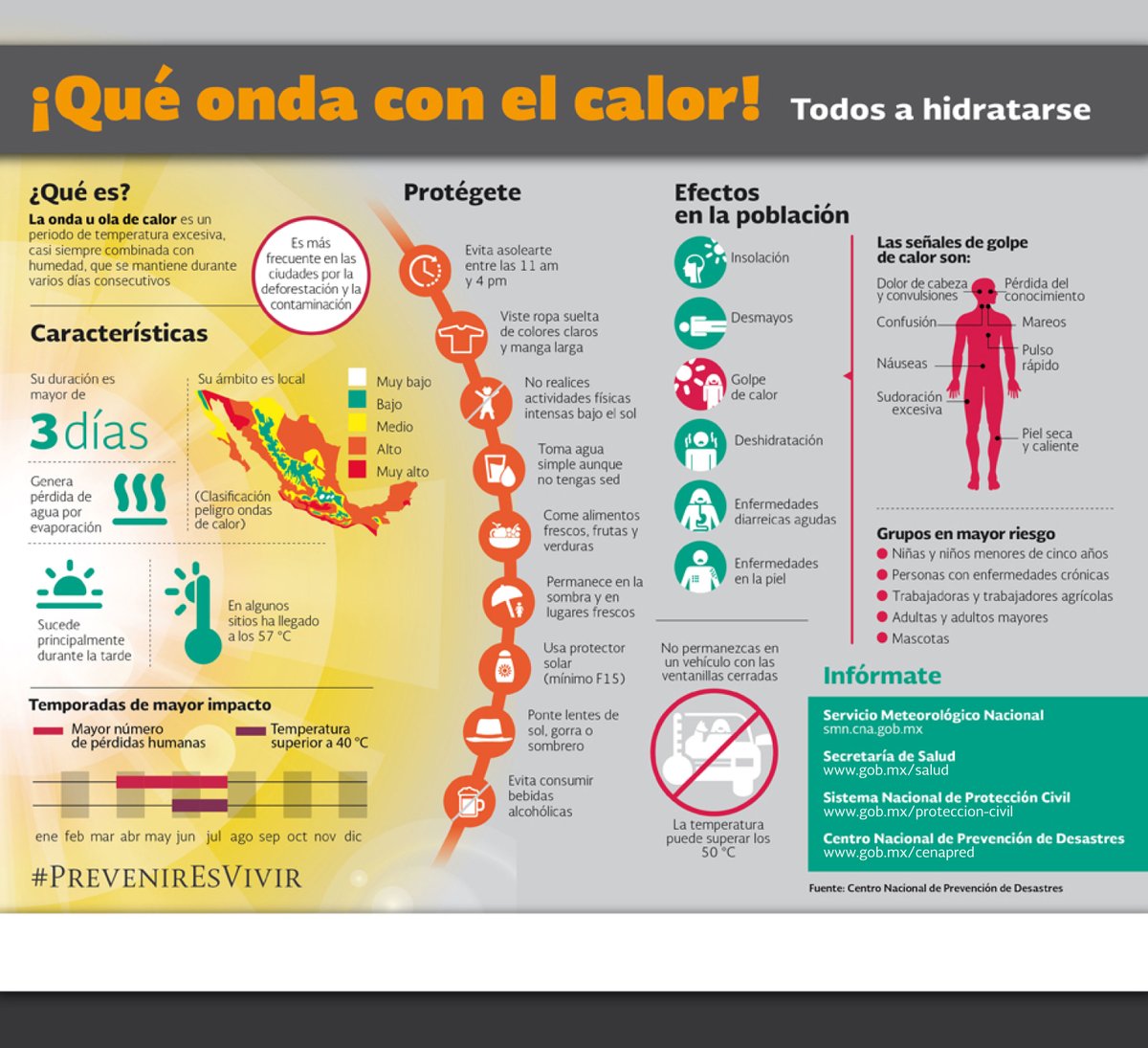 Consejos contra ola de calor Protección Civil